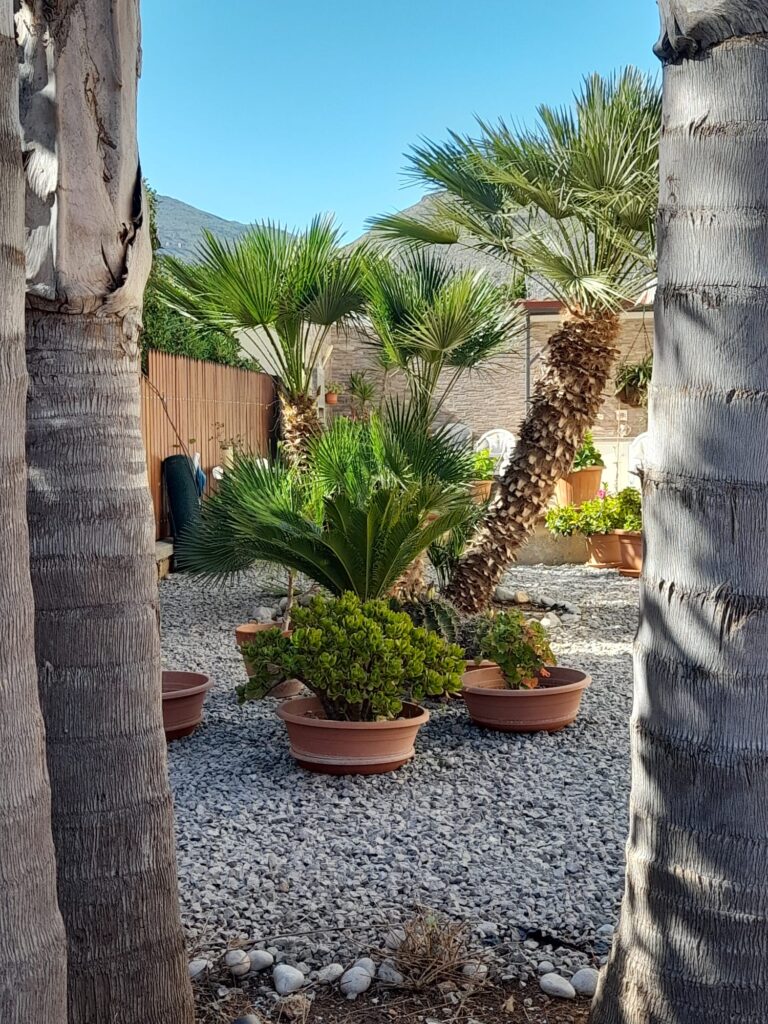 IMG-20250419-WA0024